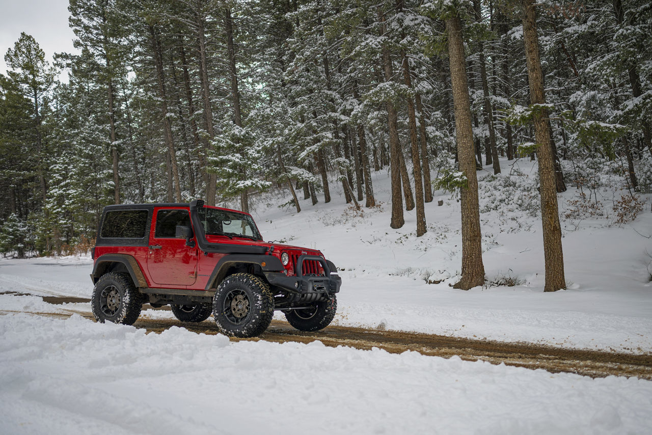 2014 Jeep Wrangler - Black Rhino GUARD - Bronze | Black Rhino